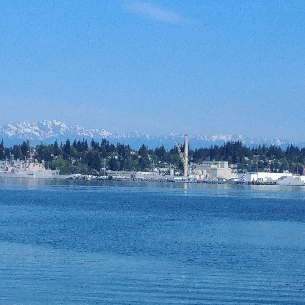 Meet your Posher, Carmen